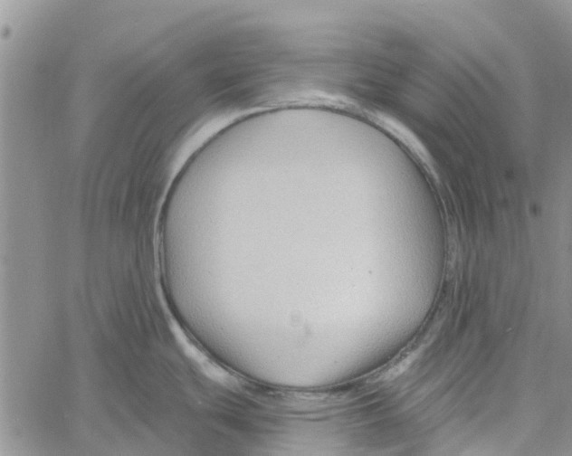 X0000060581439200512011722