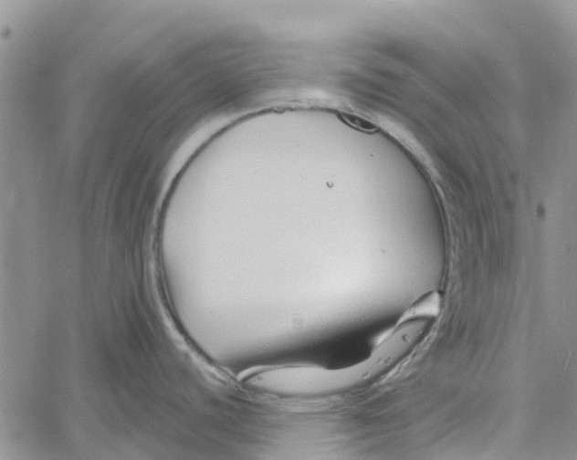 X0000060581440200512011722