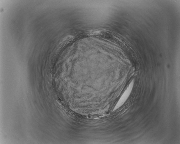 X0000060581441200512011721