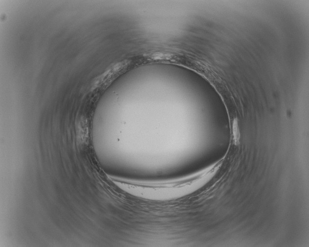 X0000060581443200512011721