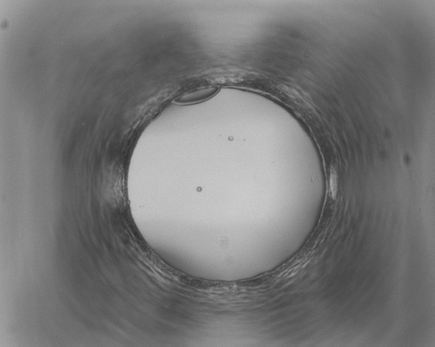 X0000060581444200512011721