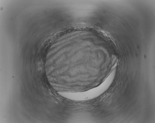 X0000060581445200512011721