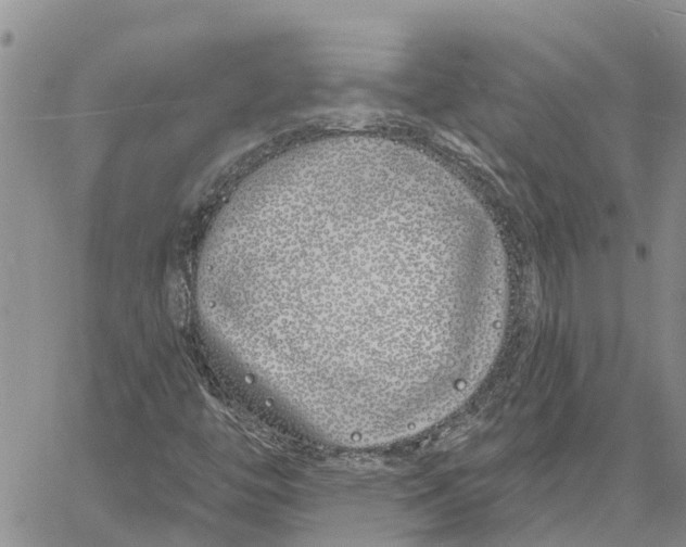 X0000060581446200512011721