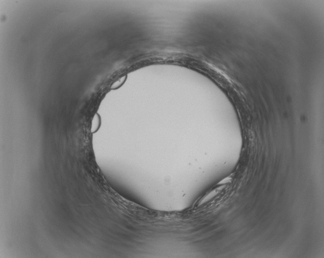 X0000060581447200512011721