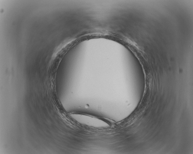 X0000060581448200512011721