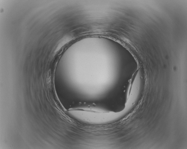 X0000060581450200512011721