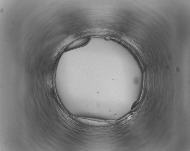 X0000060581451200512011721