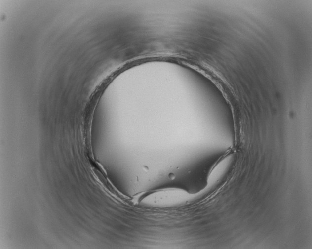 X0000060581452200512011721