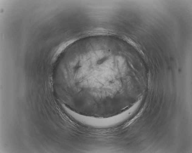 X0000060581453200512011721