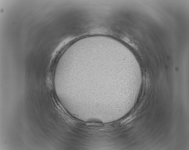 X0000060581454200512011721