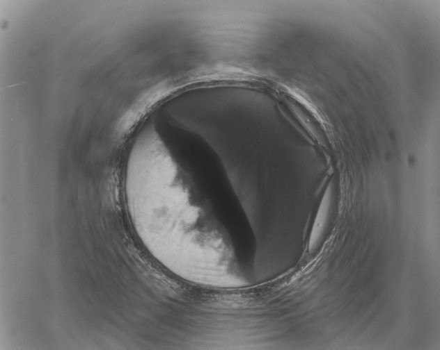 X0000060581455200512011721