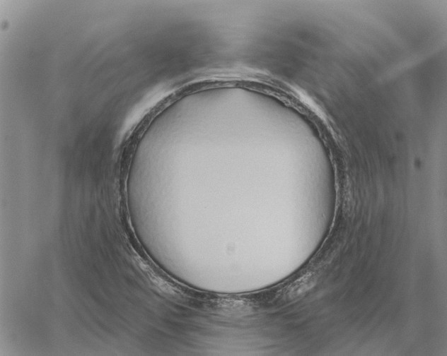 X0000060581456200512011721