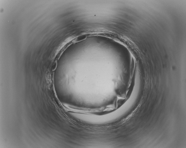 X0000060581457200512011721