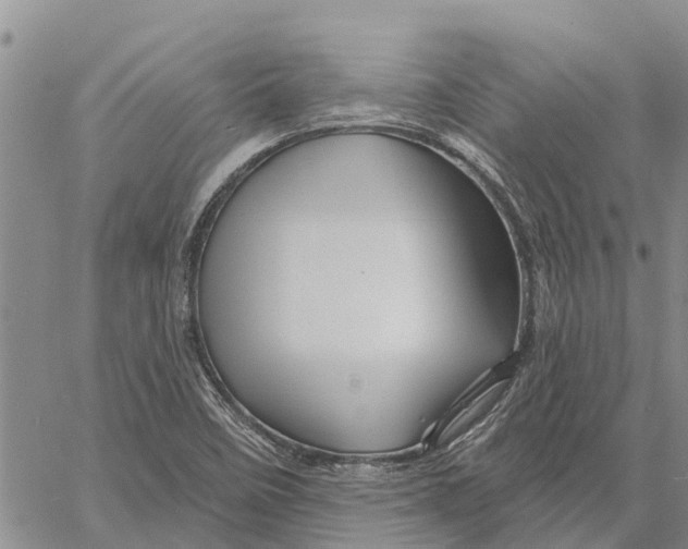 X0000060581458200512011721