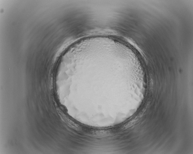 X0000060581459200512011721