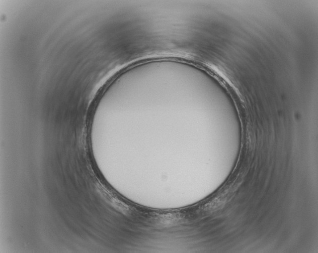 X0000060581460200512011721