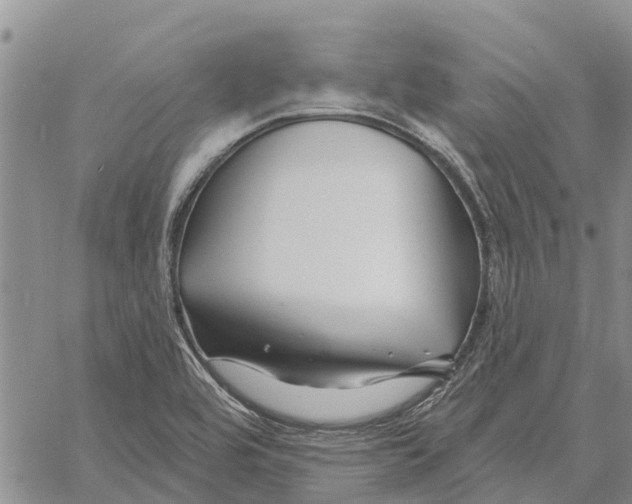 X0000060581464200512011720