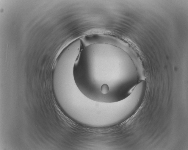 X0000060581465200512011720