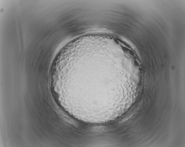 X0000060581467200512011720