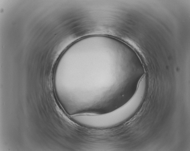 X0000060581468200512011720