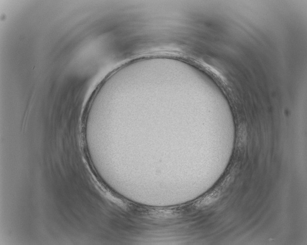 X0000060581470200512011720