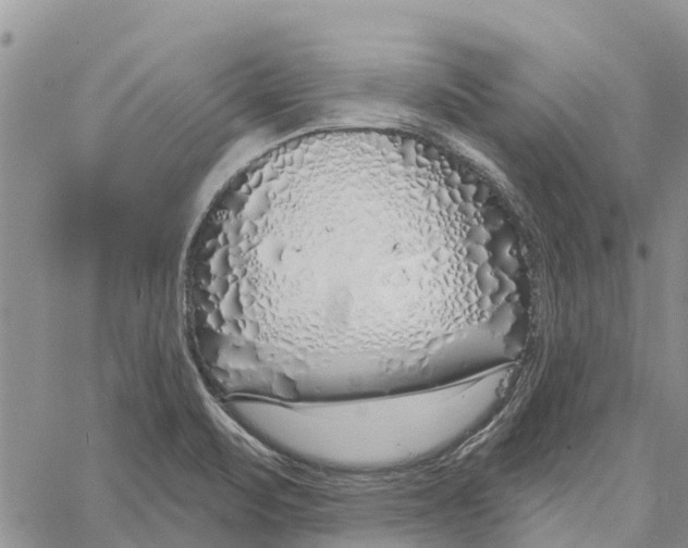 X0000060581471200512011720