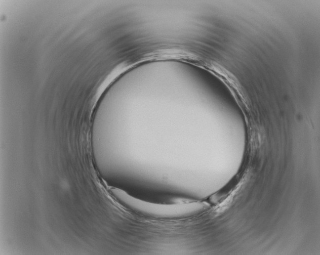 X0000060581473200512011720