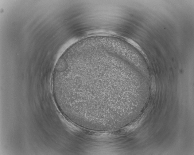 X0000060581474200512011720