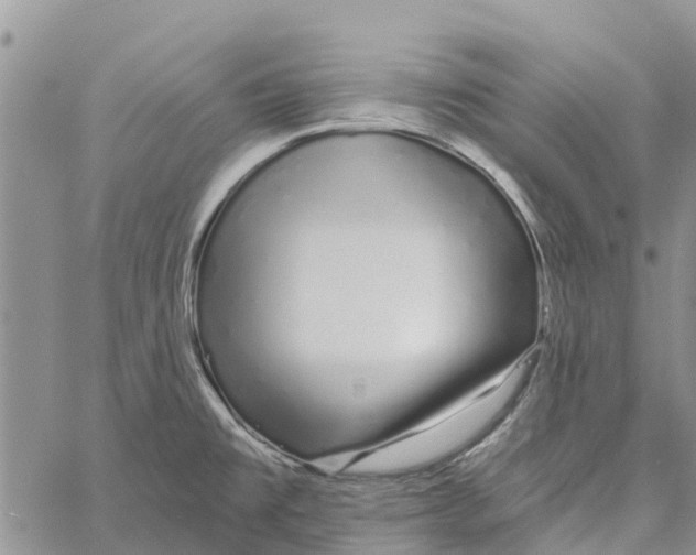 X0000060581477200512011720