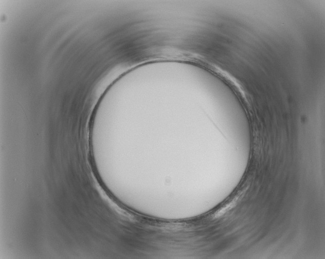 X0000060581479200512011720