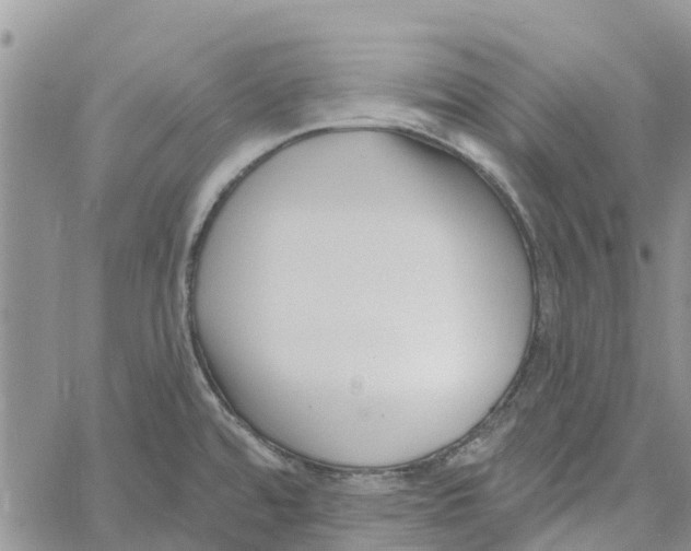 X0000060581480200512011720