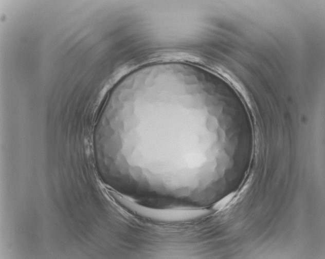 X0000060581481200512011720