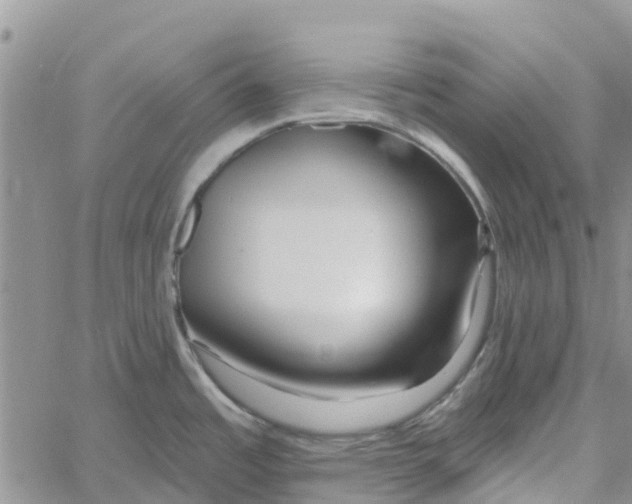 X0000060581485200512011720