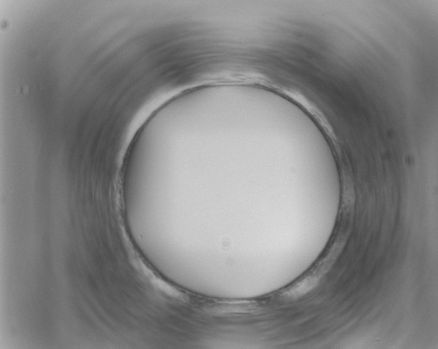 X0000060581486200512011720