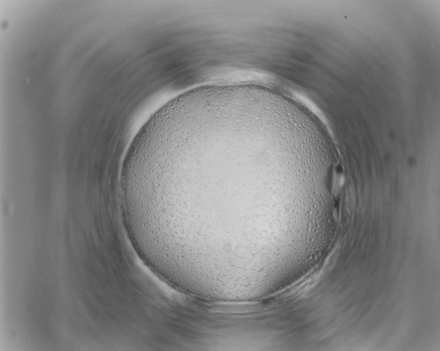 X0000060581487200512011720