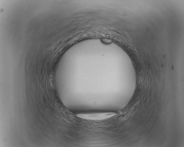 X0000060581490200512011719