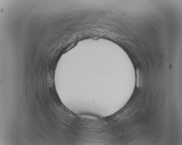 X0000060581491200512011719