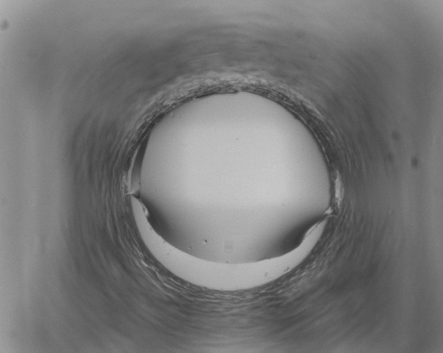 X0000060581492200512011719