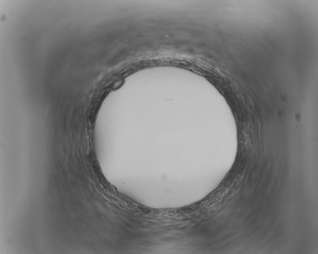 X0000060581493200512011719