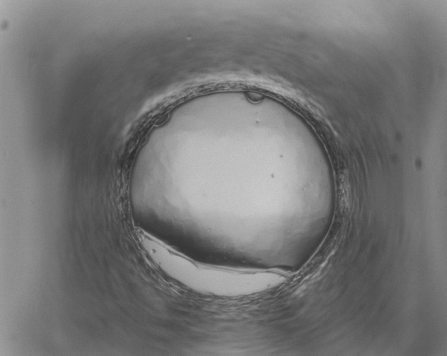 X0000060581494200512011719