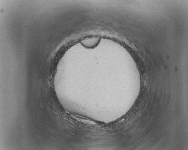 X0000060581495200512011719