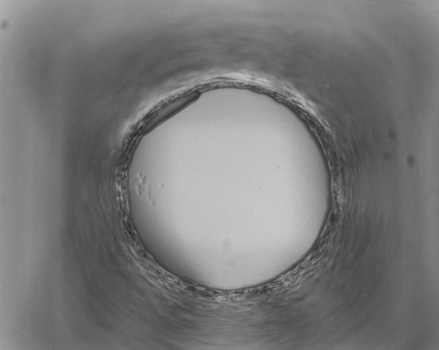 X0000060581496200512011719