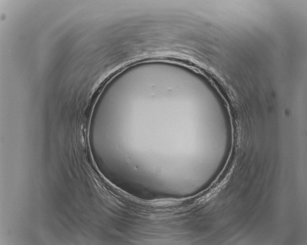 X0000060581497200512011719