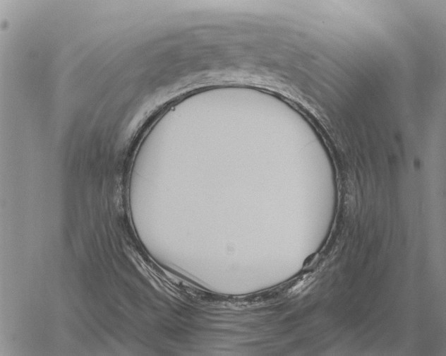 X0000060581499200512011719