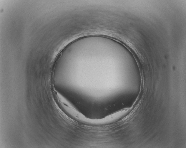 X0000060581500200512011719