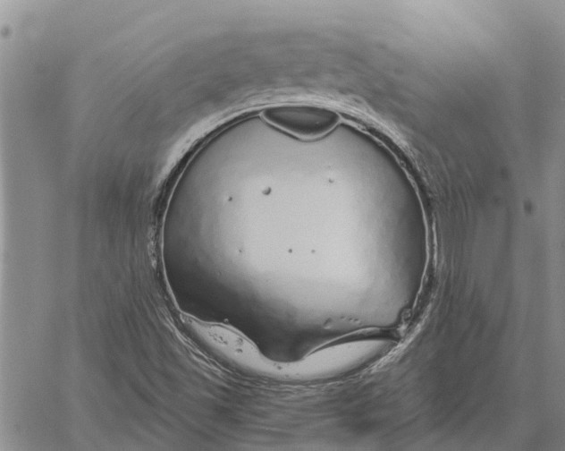 X0000060581501200512011719