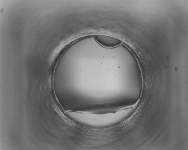 X0000060581503200512011719