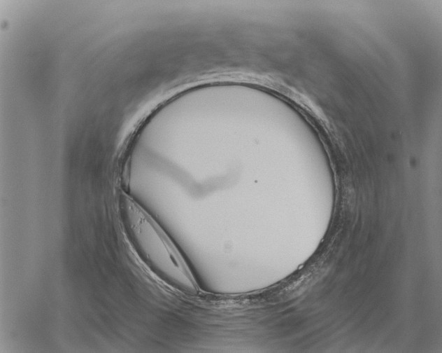 X0000060581504200512011719