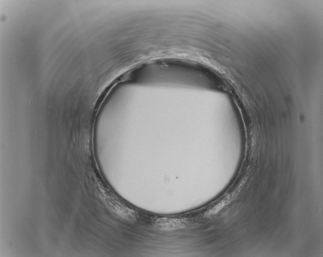 X0000060581505200512011719