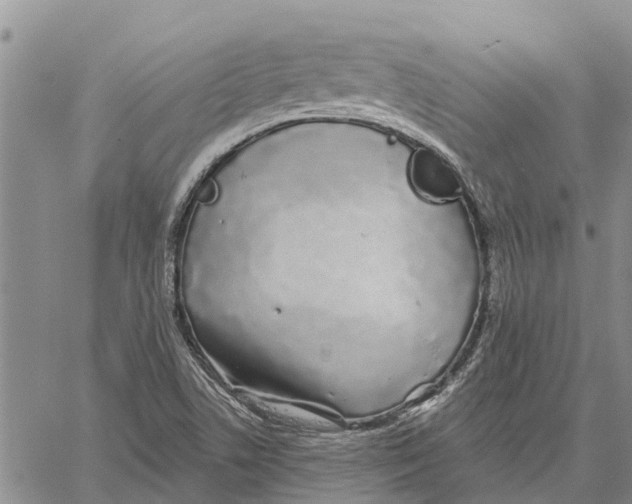 X0000060581506200512011719